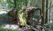 Trail Walking Sentheim - Randonnée Pentecôte 2024 - Photo 8