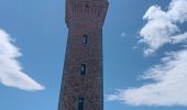 Trail Walking Port-Vendres - les Paulilles - Cap Bear via le sentier du littoral  / retour via collines et vignes  - Photo 12