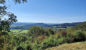 Trail Walking Verges - GR_559_AB_02_Verges_Fontenu_20210913 - Photo 11