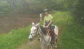 Trail Horseback riding Ciney - 20190531 - Photo 3
