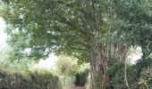 Trail Walking Verviers - petit tour dans la campagne d´Heusy - Photo 4