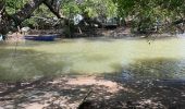 Excursión Marcha nórdica La Trinité - Usine du Galion - les étangs - mangrove  Woz  - Photo 1