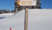 Trail Cross-country skiing Mijoux - Les louvatieres en coupant par le passage des dames - Photo 10