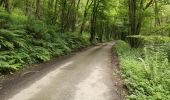 Tour Wandern Cuzion - la passerelle de casse cou  - Photo 1