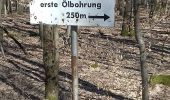Trail On foot Merkwiller-Pechelbronn - Croix bleue - Photo 7