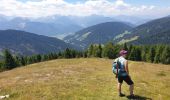 Trail Walking Toblach - Dobbiaco - Silverstertal - Valle San Silvestro - Photo 11