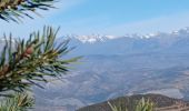 Tour Wandern Faucon-du-Caire - FAUCON DU CAIRE . LE CLASTRE .  SERRE DE MALAMORT COL DU BUISSONNET O L S - Photo 4