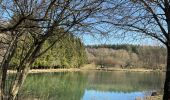 Tocht Stappen Aubange - Les étangs de Battincourt depuis Rachecourt  - Photo 14