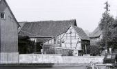 Tocht Te voet Hörselberg-Hainich - DE-gelber Balken - Photo 9