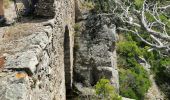 Randonnée Marche Bormes-les-Mimosas - Vallons de la Gourre et des Caunes  - Photo 3