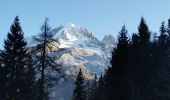 Trail Trail Chamonix-Mont-Blanc - lac blanc par col des montets + aiguille plate  - Photo 1