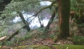 Excursión Senderismo Mouthier-Haute-Pierre - gorges de noailles  - Photo 19