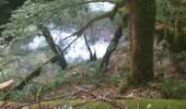 Trail Walking Mouthier-Haute-Pierre - gorges de noailles  - Photo 19
