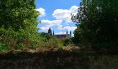 Tour Wandern Saint-Germain-sur-Vienne - Saint-Germain-sur-Vienne - Zig zag GR3 Fontevraud-l'Abbaye - 20km 350m 4h50 (45mn) - 2024 05 08 - Photo 7