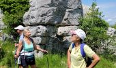 Excursión Senderismo Courmes - Courmes. Saint Barnabé et le champ des Idoles - Photo 20