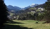 Tour Wandern Entremont-le-Vieux - Circuit au départ d’entremont le vieux - Photo 18