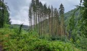 Trail Walking Bouillon - boucle  aventure  - Photo 15