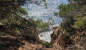 Tour Wandern Ramatuelle - Cap camarat - l’escalier 12-10-2021 - Photo 6