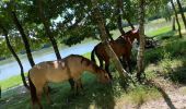 Trail Horseback riding Beaufort - Chez nous à chez Bertrand  - Photo 9