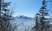 Trail Walking Entremont-le-Vieux - 150225 Poîte de la Cochette - Photo 2