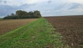Trail Walking Amponville - Amponville - Dolmen dit la Pierre Larmoire - Photo 12