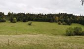 Trail Walking Plaimbois-du-Miroir - Plaimbois du Miroir  - Photo 2