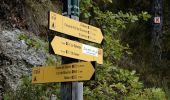 Randonnée Marche Le Castellard-Mélan - descente du col de Mounis au Vançon - Photo 7