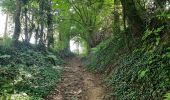 Trail Walking Blegny - autour de blegny  - Photo 1
