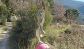 Trail Walking Arboras - arboras arsel - Photo 2