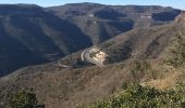 Tour Wandern Saint-Félix-de-l'Héras - Les Fabres - Mas Rouquet - Photo 11