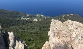 Tour Wandern Pino - Randonnée Cap Corse  - Photo 8