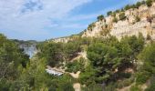 Trail Walking Cassis - Calanques de Port Miou, Port Pin et d'En Vau - Photo 1