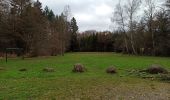 Tour Wandern Saint-Nabord - 19-04-23 col de Raon - étang de la plaine - chalet des Puiseux - Photo 4