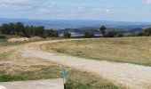 Excursión Senderismo Lézignan-Corbières - LEZIGNAN La pinède par les éoliennes - Photo 4