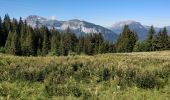 Excursión Senderismo Arâches-la-Frasse - randonnée en forêt, les Carroz, Araches, la Frasse - Photo 2