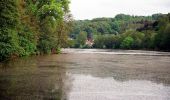 Tocht Te voet Blieskastel - Niederwürzbacher-Weiher-Tour - Photo 7