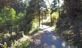 Trail On foot Wermelskirchen - Raststätte Remscheid Rundweg A1 - Photo 8
