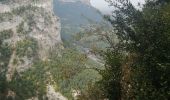 Excursión Senderismo Saint-Julien-en-Vercors - le pont du diable - Photo 8