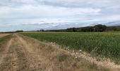 Tocht Stappen Chissay-en-Touraine - Chissay-en-Touraine - Zig zag Beaune les Durdents - 18.2km 330m 3h50 - 2024 08 14 - Photo 11