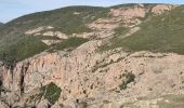 Trail Walking Appietto - Mont Gozzi en partant de la chapelle San Chirgu d'Appieto - Photo 12