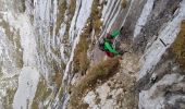 Randonnée Marche Talloires-Montmin - la tournette par le mamelon Vert en boucle - Photo 9
