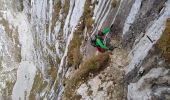 Excursión Senderismo Talloires-Montmin - la tournette par le mamelon Vert en boucle - Photo 9