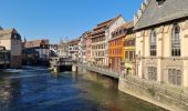 Randonnée Marche Strasbourg - Le tour de la grande isle  - Photo 2