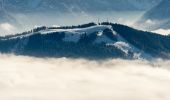 Trail On foot Tarvisio - AT-522 - Photo 2