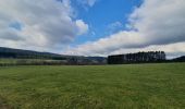 Tour Wandern Libramont-Chevigny - rando bras-bas 19/03/2021 - Photo 16