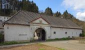 Tour Zu Fuß Odenthal - Altenberg Rundweg A5 - Photo 6