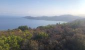 Trail Walking Belgodère - Boucle Lozari - plage ostreconi : désert dès agriates  - Photo 1