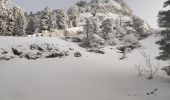 Excursión Raquetas de nieve Corrençon-en-Vercors - depart closde la balme - Photo 10