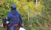 Trail Equestrian Charleville-sous-Bois - Wikiloc - Gondreville - Les secrets des bois - Photo 7