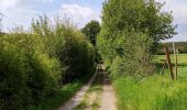 Randonnée Marche Doische - Promenade de la Bonne-Fontaine   - Photo 2